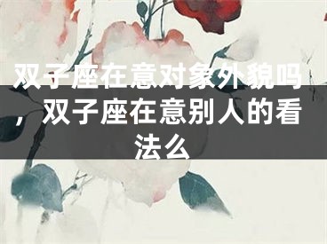 双子座在意对象外貌吗，双子座在意别人的看法么