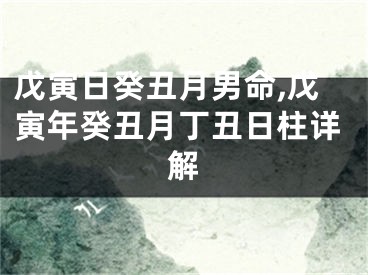 戊寅日癸丑月男命,戊寅年癸丑月丁丑日柱详解