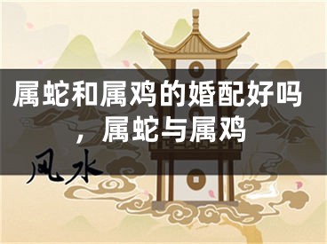 属蛇和属鸡的婚配好吗，属蛇与属鸡