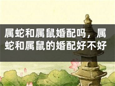 属蛇和属鼠婚配吗，属蛇和属鼠的婚配好不好