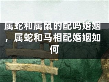 属蛇和属鼠的配吗婚姻，属蛇和马相配婚姻如何