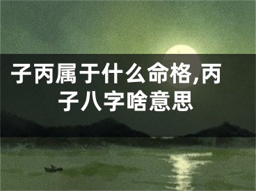 子丙属于什么命格,丙子八字啥意思