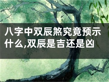 八字中双辰煞究竟预示什么,双辰是吉还是凶