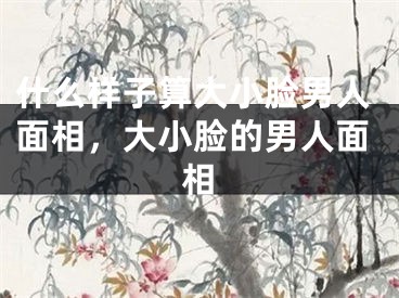 什么样子算大小脸男人面相，大小脸的男人面相