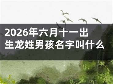 2026年六月十一出生龙姓男孩名字叫什么
