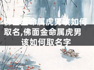 佛面金命属虎男该如何取名,佛面金命属虎男该如何取名字