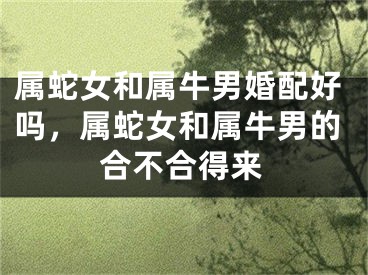 属蛇女和属牛男婚配好吗，属蛇女和属牛男的合不合得来
