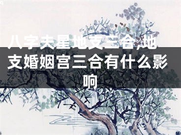 八字夫星地支三合,地支婚姻宫三合有什么影响
