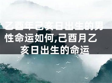 乙酉年己亥日出生的男性命运如何,己酉月乙亥日出生的命运