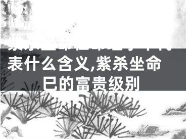 紫杀坐命在命理学中代表什么含义,紫杀坐命巳的富贵级别