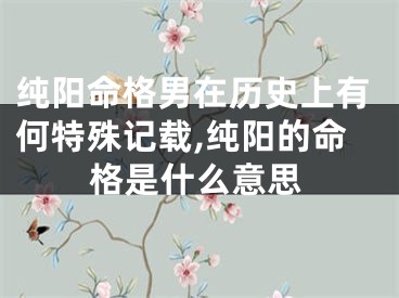 纯阳命格男在历史上有何特殊记载,纯阳的命格是什么意思