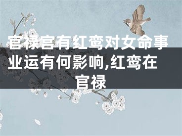 官禄宫有红鸾对女命事业运有何影响,红鸾在官禄