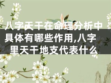 八字天干在命理分析中具体有哪些作用,八字里天干地支代表什么