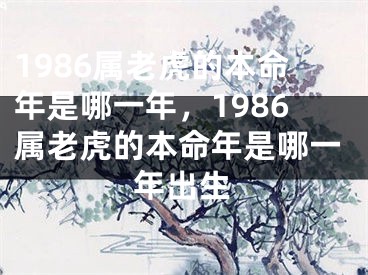 1986属老虎的本命年是哪一年，1986属老虎的本命年是哪一年出生
