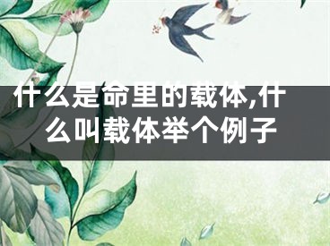 什么是命里的载体,什么叫载体举个例子