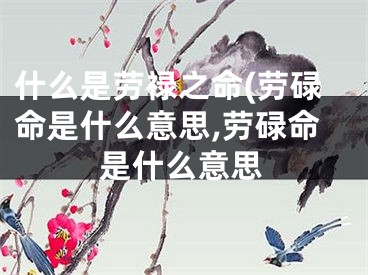 什么是劳禄之命(劳碌命是什么意思,劳碌命是什么意思