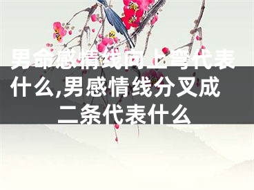 男命感情线向上弯代表什么,男感情线分叉成二条代表什么