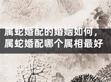 属蛇婚配的婚姻如何，属蛇婚配哪个属相最好