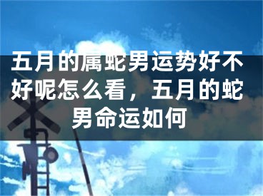 五月的属蛇男运势好不好呢怎么看，五月的蛇男命运如何