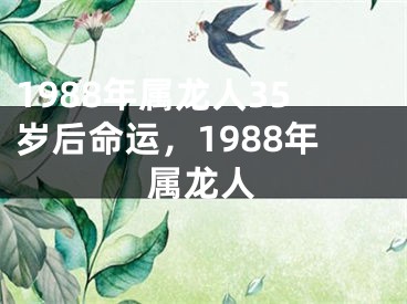 1988年属龙人35岁后命运，1988年属龙人