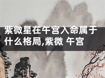 紫微星在午宫入命属于什么格局,紫微 午宫