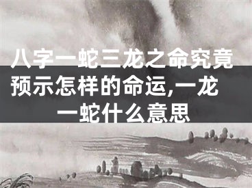八字一蛇三龙之命究竟预示怎样的命运,一龙一蛇什么意思