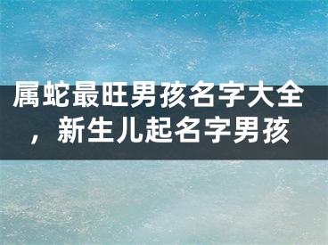 属蛇最旺男孩名字大全，新生儿起名字男孩