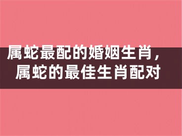 属蛇最配的婚姻生肖，属蛇的最佳生肖配对