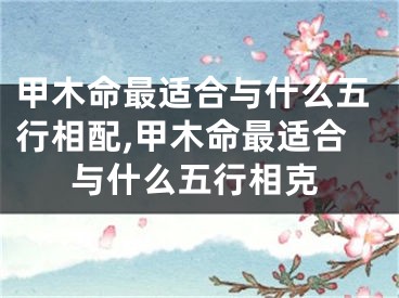 甲木命最适合与什么五行相配,甲木命最适合与什么五行相克