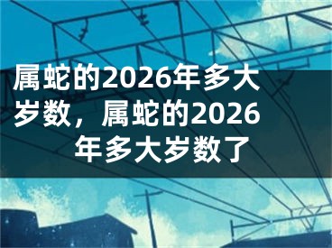 属蛇的2026年多大岁数,属蛇的2026年多大岁数了