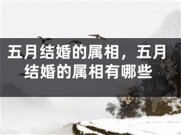 五月结婚的属相，五月结婚的属相有哪些