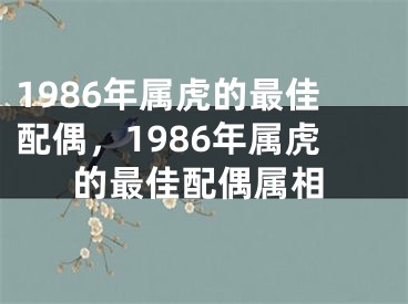 1986年属虎的最佳配偶，1986年属虎的最佳配偶属相