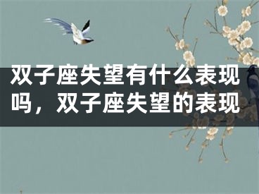 双子座失望有什么表现吗，双子座失望的表现