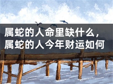 属蛇的人命里缺什么,属蛇的人今年财运如何