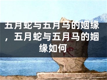 五月蛇与五月马的姻缘，五月蛇与五月马的姻缘如何