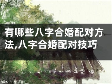 有哪些八字合婚配对方法,八字合婚配对技巧