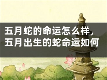五月蛇的命运怎么样，五月出生的蛇命运如何