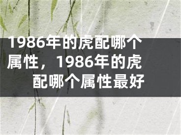1986年的虎配哪个属性，1986年的虎配哪个属性最好