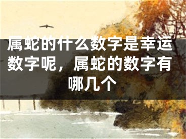 属蛇的什么数字是幸运数字呢，属蛇的数字有哪几个