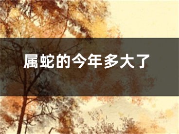属蛇的今年多大了