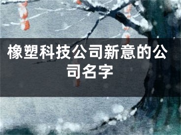 橡塑科技公司新意的公司名字