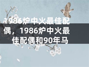 1986炉中火最佳配偶，1986炉中火最佳配偶和90年马