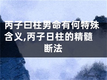 丙子曰柱男命有何特殊含义,丙子日柱的精髓断法