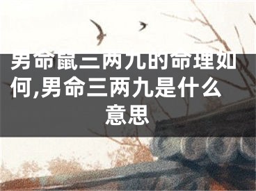男命鼠三两九的命理如何,男命三两九是什么意思