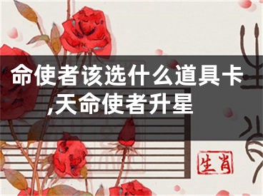 命使者该选什么道具卡,天命使者升星
