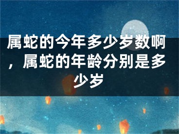 属蛇的今年多少岁数啊,属蛇的年龄分别是多少岁
