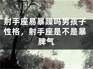 射手座易暴躁吗男孩子性格，射手座是不是暴脾气