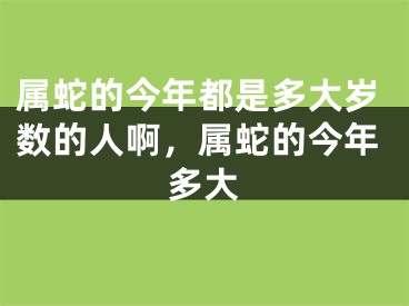 属蛇的今年都是多大岁数的人啊,属蛇的今年多大