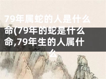 79年属蛇的人是什么命(79年的蛇是什么命,79年生的人属什么