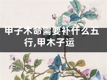 甲子木命需要补什么五行,甲木子运